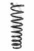 SPIDAN 48659 Coil Spring